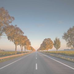 Top 4 Road Trips in America to Experience after Lockdown