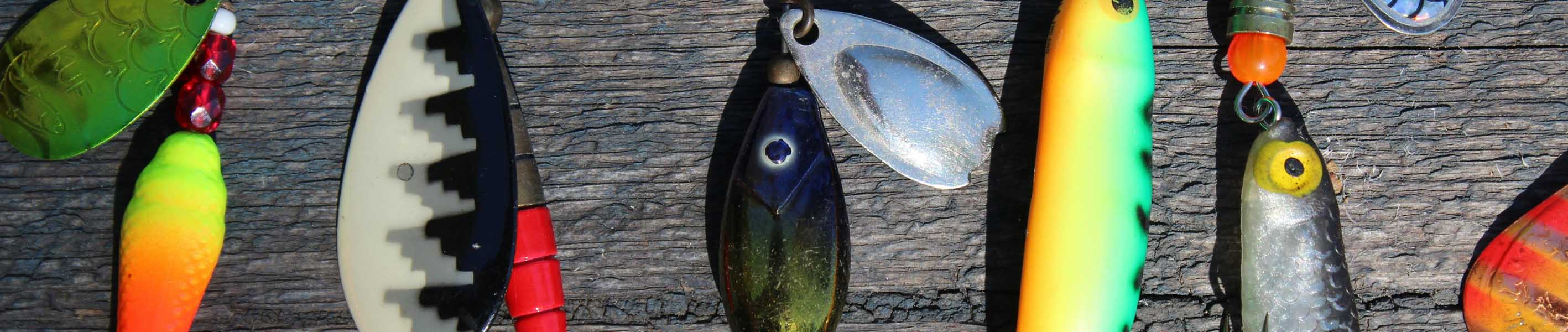 travel-fishing-angler-fish-banner