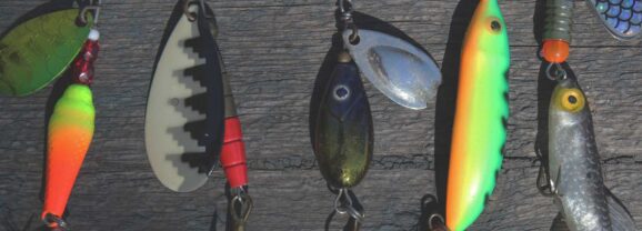 Reading Water Like a Tracker: Finding Fish in Country You’ve Never Seen