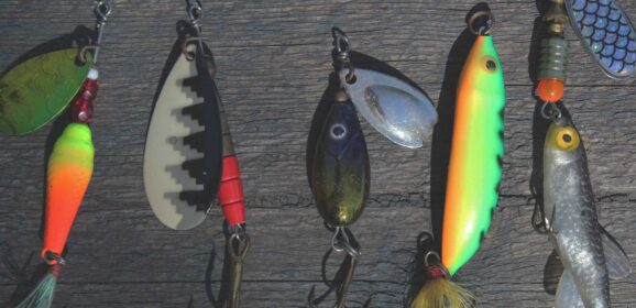 Reading Water Like a Tracker: Finding Fish in Country You’ve Never Seen