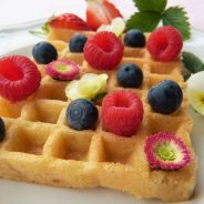 Breaking Down the Various Food Diets