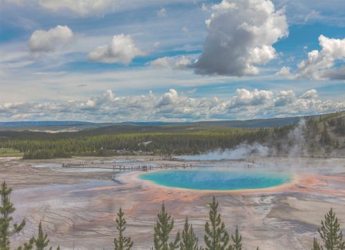 Travel to Yellowstone: A Wildlife Guide to the Park’s Most Interesting Animals